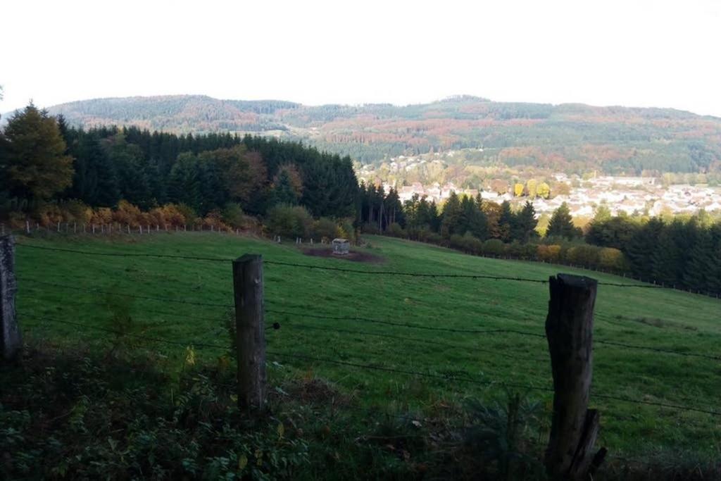 Maison Independ. 6 Personnes A 10 Mn De Gerardmer Granges-sur-Vologne Exteriér fotografie