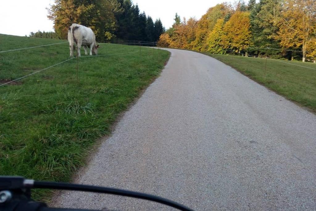Maison Independ. 6 Personnes A 10 Mn De Gerardmer Granges-sur-Vologne Exteriér fotografie