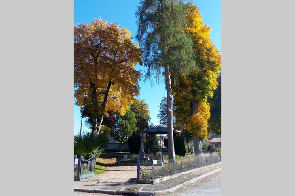 Maison Independ. 6 Personnes A 10 Mn De Gerardmer Granges-sur-Vologne Exteriér fotografie